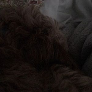 Meet your Posher, Angie